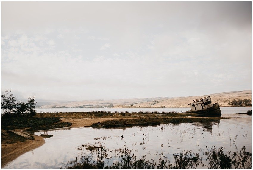 Pt. Reyes Engagement Photographer