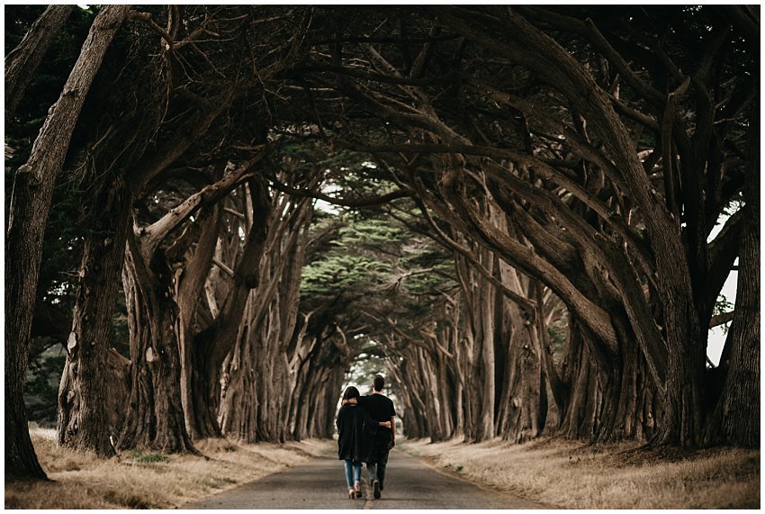 Pt. Reyes Engagement Photographer