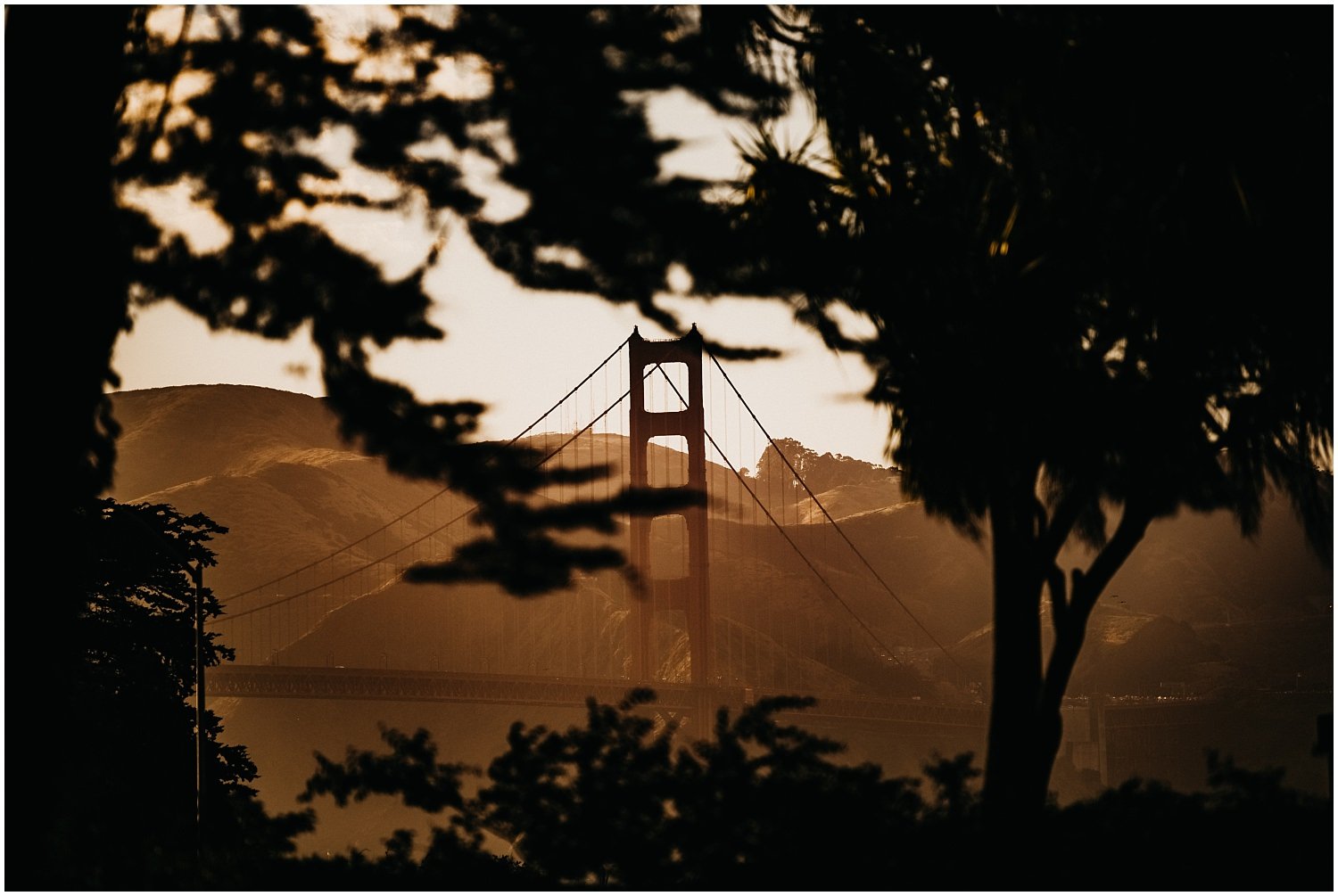 San Francisco Wedding Photographer