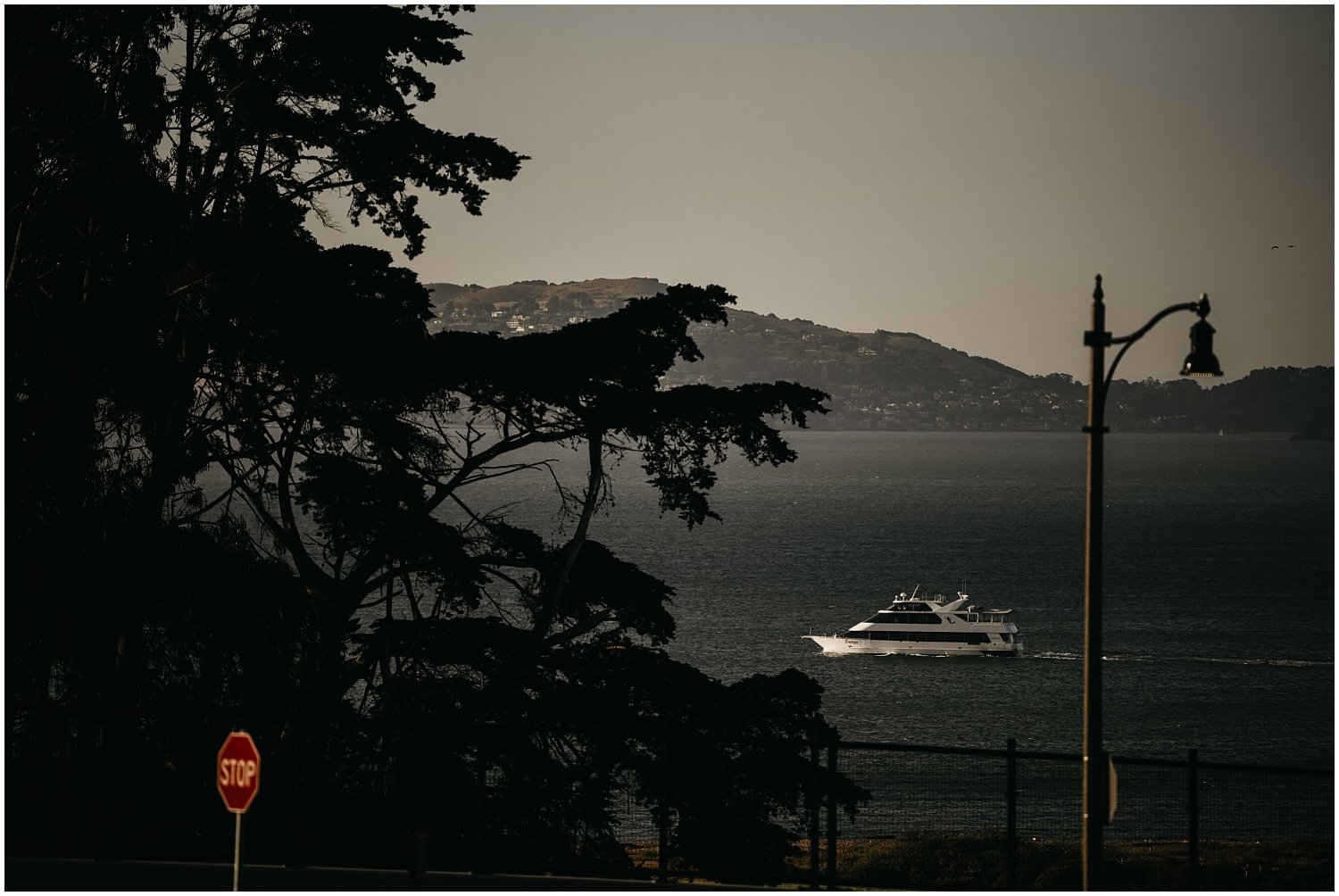 San Francisco Wedding Photographer
