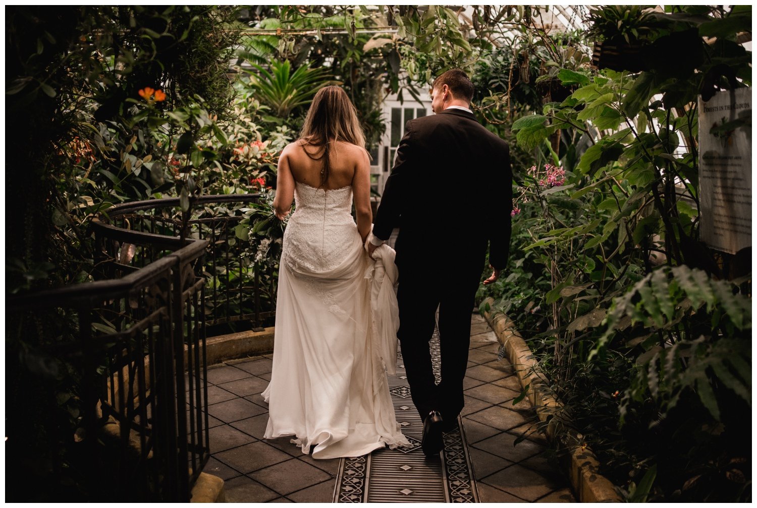 San Francisco Wedding at the Conservatory of Flowers