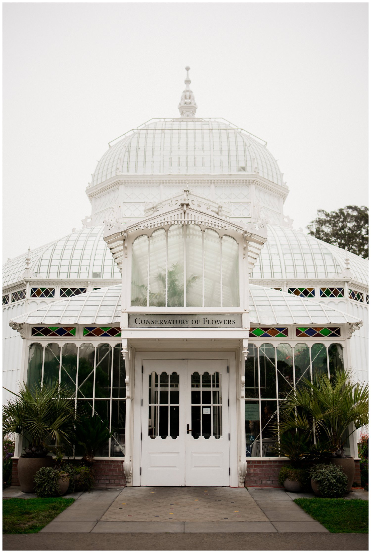 San Francisco Wedding at the Conservatory of Flowers