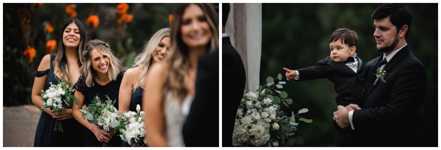 San Francisco Wedding at the Conservatory of Flowers