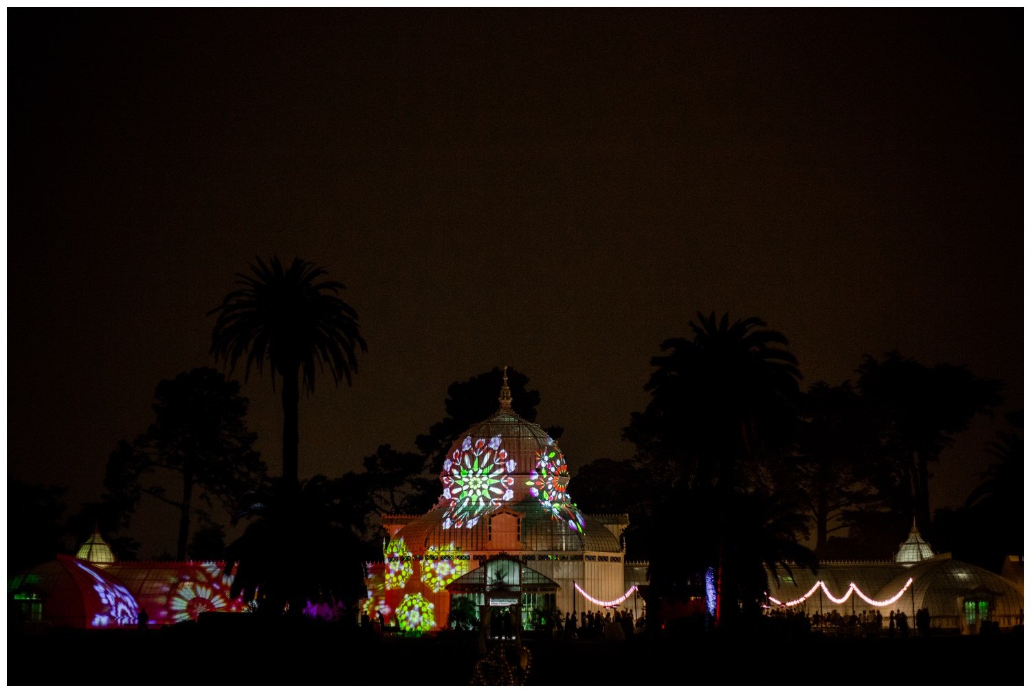 San Francisco Wedding at the Conservatory of Flowers